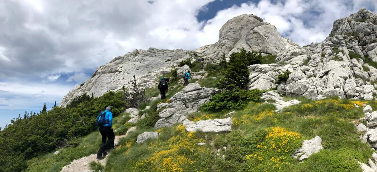 The Northern Velebit National Park